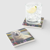 パドル素晴らしにピレネーを描く:風光明媚な冒険 ストーンコースター (横)