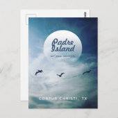 パドレアイランドナショナルシーショアブラウンペリカン ポストカード (正面/裏面)