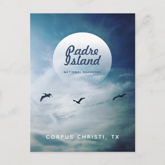 パドレアイランドナショナルシーショアブラウンペリカン ポストカード (正面)