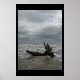 パドレアイランド – 2004年1月 ポスター