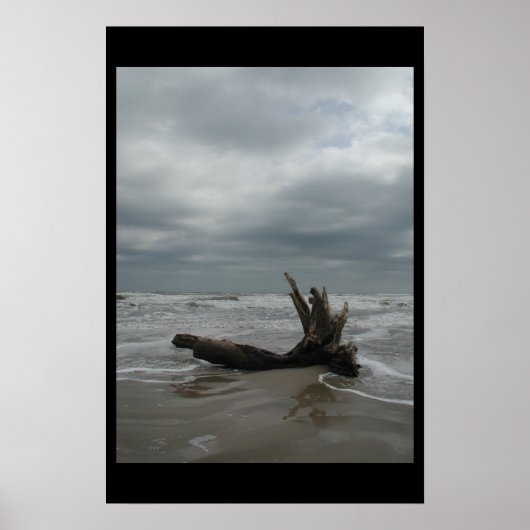 パドレアイランド – 2004年1月 ポスター (正面)