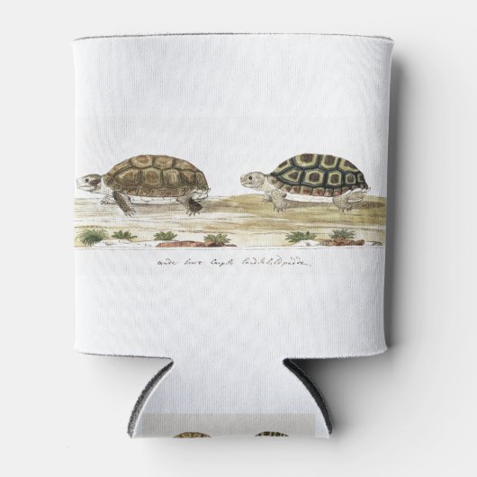 パドロウガメ 缶クーラー (正面)