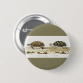 パドロウガメ 缶バッジ (正面&裏面)