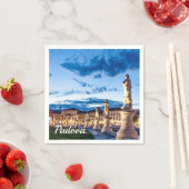 パドヴァのライトアップされた像の列 スタンダードカクテルナプキン (インサイチュ)