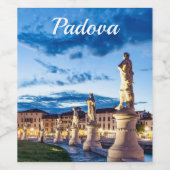 パドヴァのライトアップされた像の列 ワインラベル (シングルラベル)
