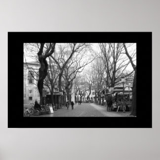 パドヴァ（イタリア） ポスター