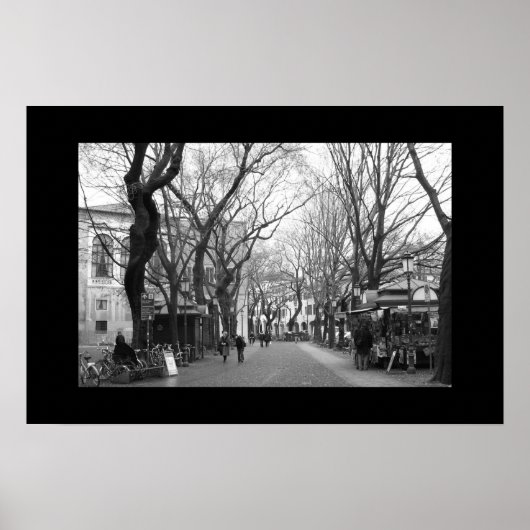 パドヴァ（イタリア） ポスター (正面)