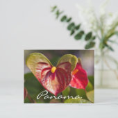 パナマ州ボケテのはがき ポストカード (スタンド正面)