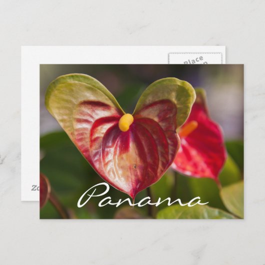 パナマ州ボケテのはがき ポストカード (正面/裏面)