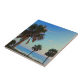 パナマ市のビーチ、フロリダのヤシの木 タイル (側面)