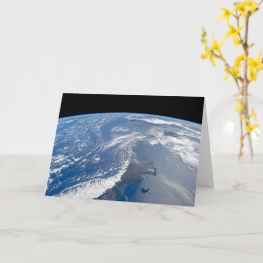 パナマ運河。 カード (黄色い花)