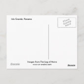 パナマ,イスラグランデ ポストカード (裏面)