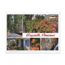 パナマ，ボケテからのはがき