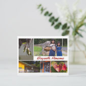 パナマ，ボケテからのはがき ポストカード (スタンド正面)