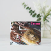 パナマ ポストカード (スタンド正面)