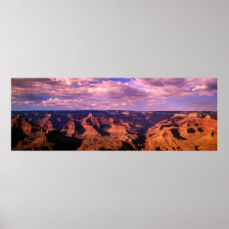 パナラマ25 ポスター