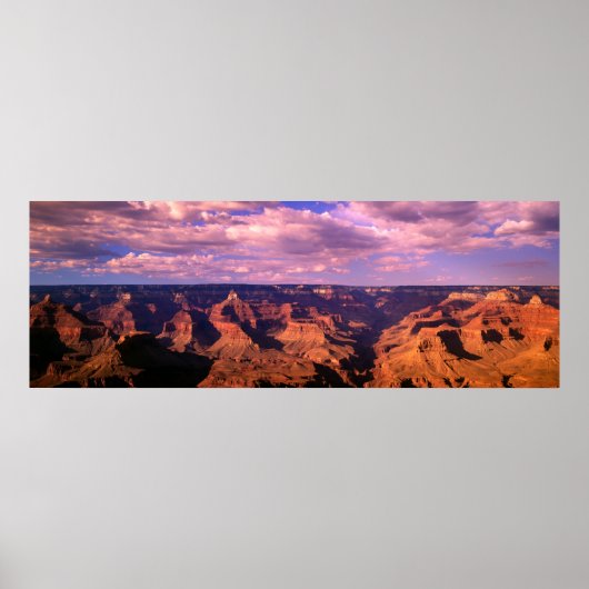 パナラマ25 ポスター (正面)