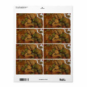 パナンタイカレー[พะแนง] ...タイ通り食品 ラベル (フルシート)