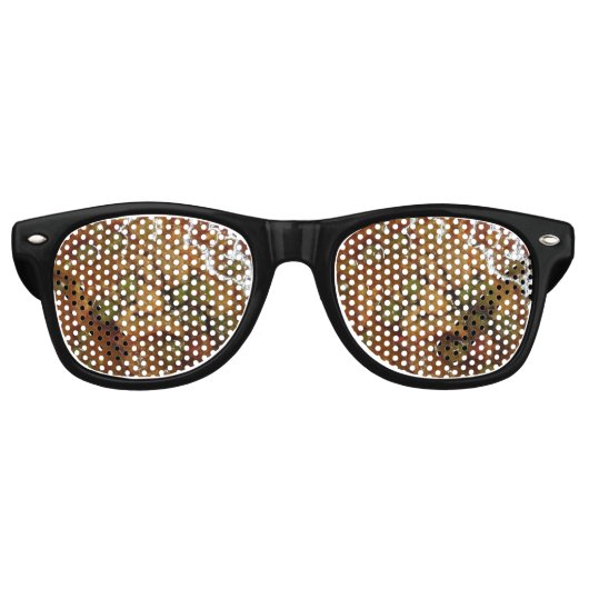 パナンタイカレー[พะแนง] ...タイ通り食品 レトロサングラス (正面)