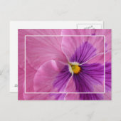 パニかわいらしーはがき ポストカード (正面/裏面)