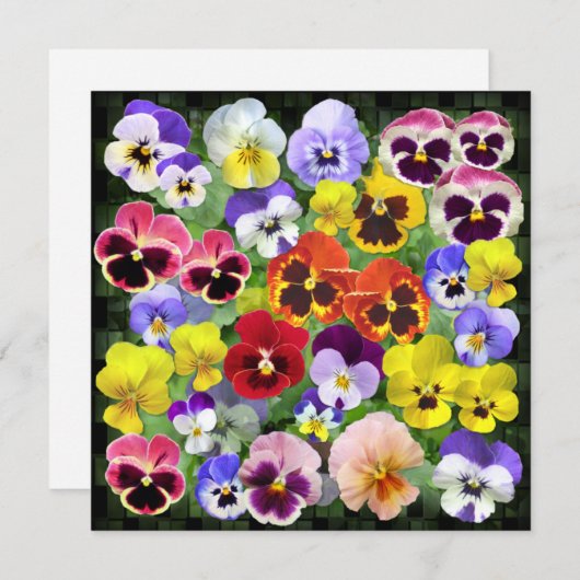 パニかわいらしーコラージュカスタム文字 (正面/裏面)