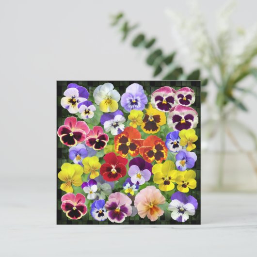 パニかわいらしーコラージュカスタム文字 (スタンド正面)