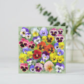 パニかわいらしーコラージュカスタム文字 (スタンド正面)