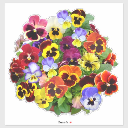 パニかわいらしー表示コンターシール シール (シート)