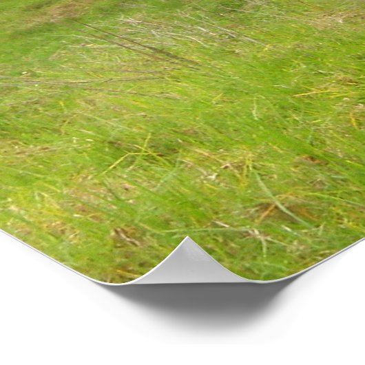 パニオロハウス ポスター (角)