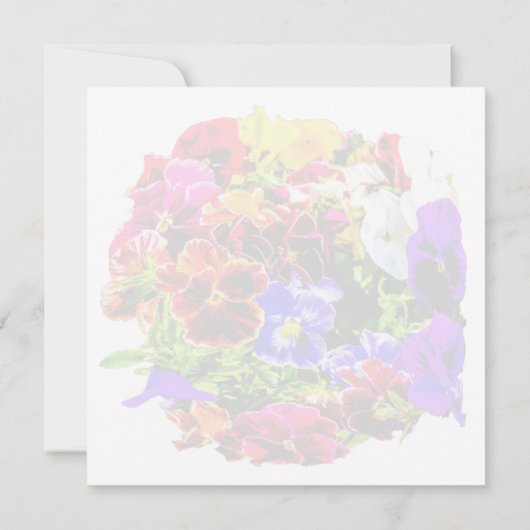 パニカラフルーの花 (裏面)