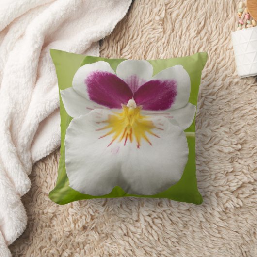 パニーズラン クッション (ブランケット)