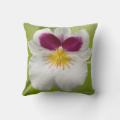 パニーズラン クッション (裏面)