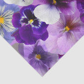 パネカラフルスかわいらし、花、 薄葉紙 (詳細)