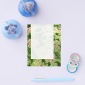 パネル0108 - Sedum "Autumn Joy" チラシ (シングル)