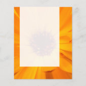 パネル026 – オレンジマリゴールド チラシ (裏面)