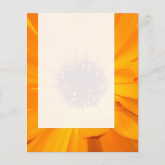 パネル026 – オレンジマリゴールド チラシ (正面)