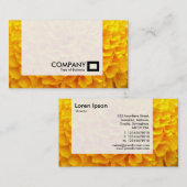 パネル – オレンジ菊 名刺 (正面/裏面)