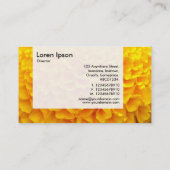 パネル – オレンジ菊 名刺 (裏面)