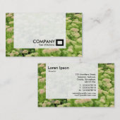 パネル – セダム（秋の喜び） 名刺 (正面/裏面)