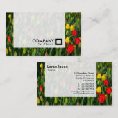 パネル – チューリップ 名刺 (正面/裏面)