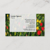 パネル – チューリップ 名刺 (裏面)