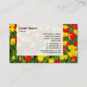 パネル – 赤と黄色のチューリップ 名刺 (裏面)