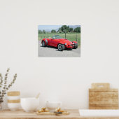 パノズAIVロードスター ポスター (キッチン)