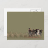 パノプリ - 古代ギリシャの戦車と馬 ポストカード (正面/裏面)