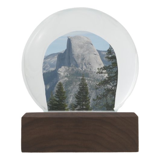 パノラマトレイルIからのハーフドーム スノーグローブ (正面)