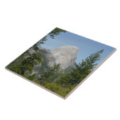 パノラマトレイルIIからのハーフドーム タイル (側面)