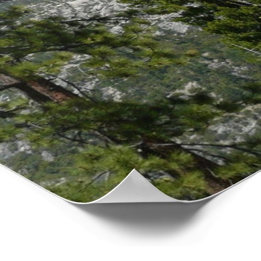 パノラマトレイルIIからのハーフドーム ポスター (角)