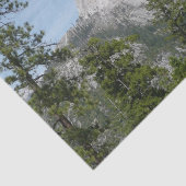 パノラマトレイルIIからのハーフドーム 薄葉紙 (詳細)