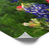 パノラマブルーボンネットシーン ポスター (角)