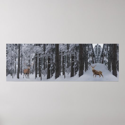 パノラマポスター ポスター (正面)